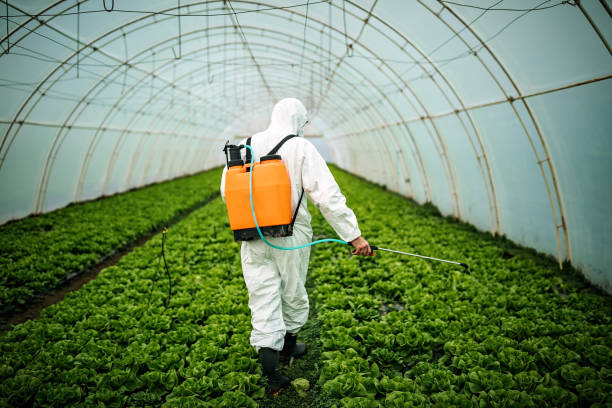 Best Pest Prevention Services  in Williams, AZ