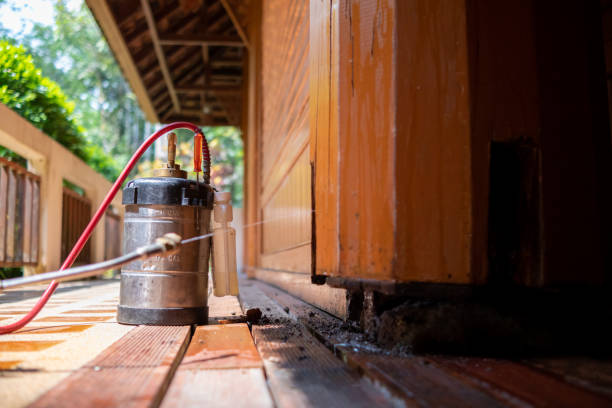 Best Best Pest Control Companies  in Williams, AZ