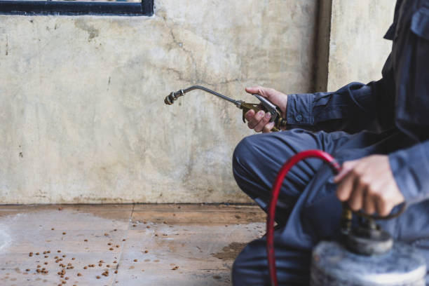 Best Mosquito Control Services  in Williams, AZ